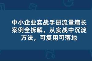 (10889期)中小 企业 实操手册-流量增长案例拆解,从实操中沉淀方法,可复用可落地