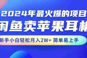 （10863期）2024年最火爆的项目，闲鱼卖苹果耳机，新手小白轻松月入2W+简单易上手