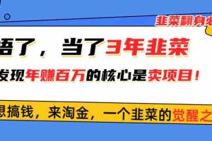 (10759期)悟了,当了3年韭菜,才发现网赚圈年赚100万的核心是卖项目,含泪分享!