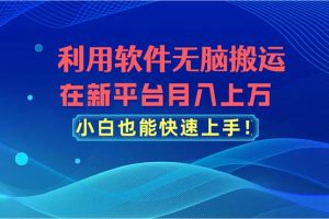 （11078期）利用软件无脑搬运，在新平台月入上万，小白也能快速上手