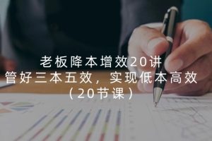 (11238期)老板 降本增效20讲,管好 三本五效,实现低本高效(20节课)
