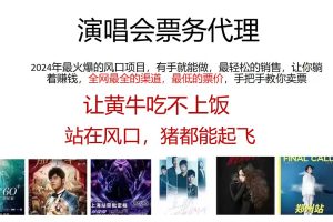 (11272期)演唱会票务代理,2024年最火爆风口项目,全网最低的票价,小白一分钟上…