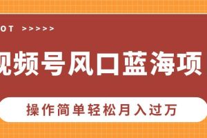 （13945期）视频号风口蓝海项目，中老年人的流量密码，操作简单轻松月入过万