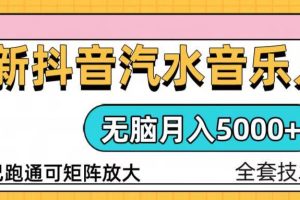 （13753期）抖音汽水音乐人计划无脑月入5000+操作简单实操已落地