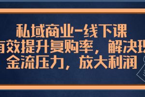 (8425期)私域商业-线下课,有效提升复购率,解决现金流压力,放大利润