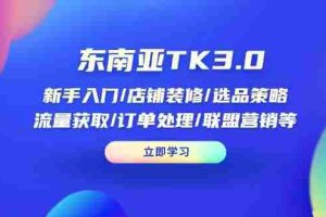 （14208期）东南亚TK3.0：新手入门/店铺装修/选品策略/流量获取/订单处理/联盟营销等