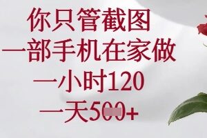 你只管截图,一部手机在家做,苹果安卓都可以,一小时120,一天5张+【揭秘】
