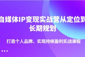自媒体IP变现实战营从定位到长期规划，打造个人品牌、实现持续盈利实战课程