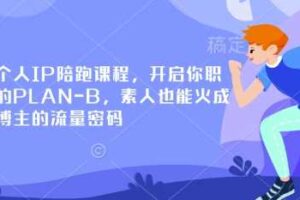 小红书个人IP陪跑课程，开启你职业生涯的PLAN-B，素人也能火成为百万博主的流量密码