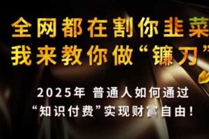 全网都在割你韭菜，我来教你做镰刀，2025普通人如何通过知识付费，实现财F自由【揭秘】
