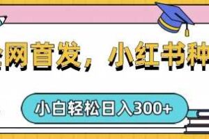 小红书种草，手机项目，日入3张，复制黏贴即可，可矩阵操作，动手不动脑【揭秘】
