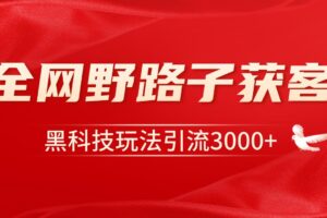 电商引流获客野路子全平台暴力截流获客日引500+