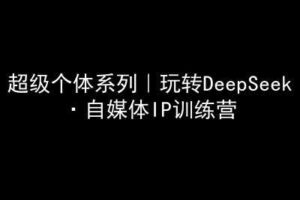 超级个体系列，玩转DeepSeek·自媒体IP训练营，deepseek教程