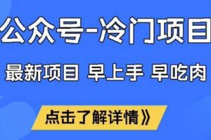 公众号冷门赛道，早上手早吃肉，单月轻松稳定变现1W【揭秘】