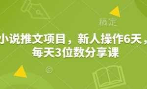 小说推文项目，新人操作6天，每天3位数分享课