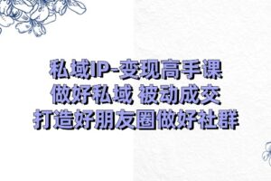 私域IP变现高手课：做好私域被动成交，打造好朋友圈做好社群（18节）