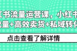 小红书流量运营课，小红书搞流量+高效卖货+私域转化