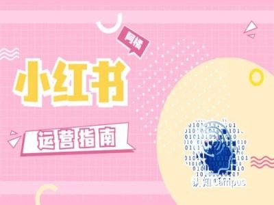 小红书运营指南,没有套路,全是经验