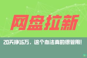 网盘拉新+私域全自动玩法，0粉起号，小白可做，当天见收益，已测单日破5000