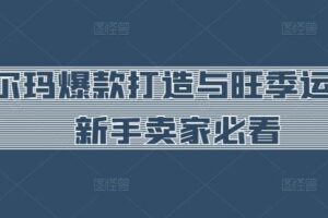 沃尔玛爆款打造与旺季运营，新手卖家必看