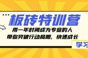 板砖特训营，用一年时间成为专业的人，带你突破行动局限，快速成长