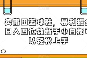 卖莆田篮球鞋，暴利掘金日入四位数新手小白都可以轻松上手【揭秘】