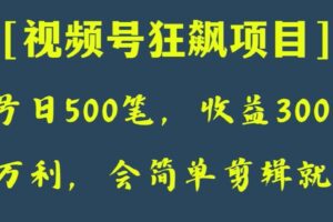 日收款500笔，纯利润3000+，视频号狂飙项目，会简单剪辑就能做【揭秘】