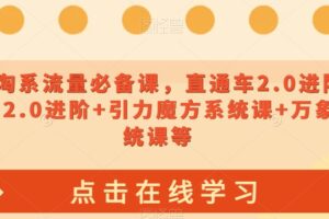 2023淘系流量必备课，直通车2.0进阶+引力魔方2.0进阶+引力魔方系统课+万象台系统课等