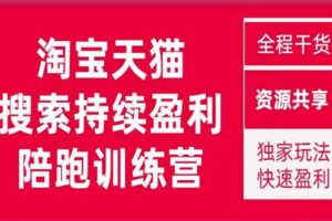 2023未见【無山】淘宝天猫搜索持续盈利陪跑训练营，独家玩法，快速盈利