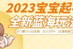 2023宝宝起名全新蓝海玩法，冷门暴力小白实操，日入1000+（全套教程）【揭秘】