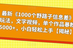 最新《1000个野路子信息差》玩法，文字视频，单个作品暴粉5000+，小白轻松上手【揭秘】