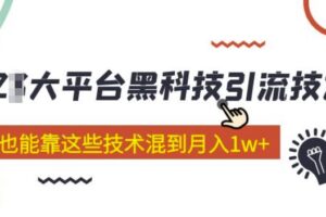 大平台黑科技引流技术，小白也能靠这些技术混到月入1w+(2022年的课程）