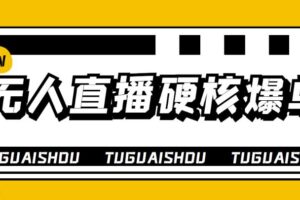 大飞无人直播硬核爆单技术，轻松玩转无人直播，暴利躺赚