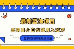 （14289期）2025年最新蓝海项目，卖项目小白也能月入过万