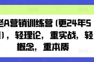 老A营销训练营(更25年4月)，轻理论，重实战，轻概念，重本质