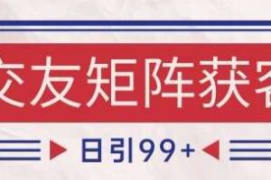 小红书某音交友赛道引流获客 自热矩阵日引200+【揭秘】