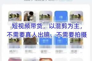 宝子哥头部团队短视频带货，以混剪为主，不需要真人出镜，不需要拍摄【更新6月】
