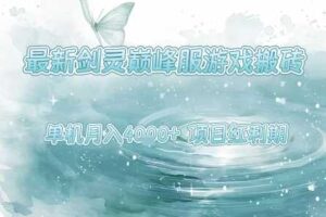 最新剑灵巅峰服游戏搬砖，项目红利期，单机稳定月入4k+操作简单好上手【揭秘】