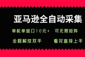 亚马逊全自动采集，单机单窗口一天10+，可无限矩阵去做【揭秘】