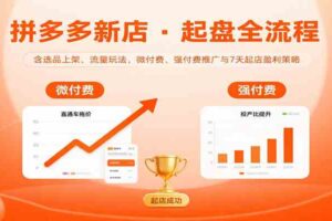 拼多多新店起盘全流程，含选品上架、流量玩法，微付费、强付费推广与7天起店盈利策略