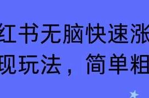 小红书无脑快速涨粉变现玩法，简单粗暴