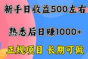 （15978期）一台电脑，前期日收益300-500，熟练后日入1000左右