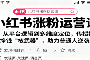 小红书涨粉运营课：从平台逻辑到多维度定位，传授挣钱 “核武器”，助力普通人逆袭