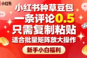 小红书种草豆包，一条评论0.5，只需复制粘贴，适合批量矩阵放大操作，新手小白福利