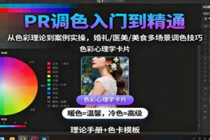 PR调色入门到精通:从色彩理论到案例实操,婚礼/医美/美食多场景调色技巧