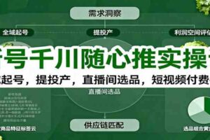 新号千川随心推实操课:全域起号,提投产,直播间选品,短视频付费拉爆