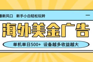 最新蓝海项目,海外美金广告,单机单日500+,可矩阵放大,设备越多收益越大