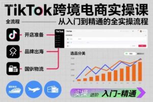 TikTok跨境电商实操课,从入门到精通的全实操流程