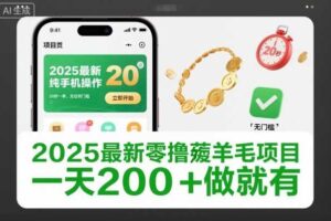 2025最新零撸薅羊毛项目，纯手机操作，20秒一单，无任何门槛，一天200+做就有【揭秘】