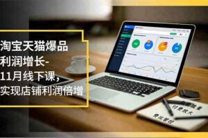 (16824期)淘宝天猫爆品利润增长-11月线下课,免费流量、付费放大、费比管控,实现店铺利润倍增